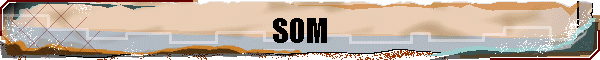 SOM